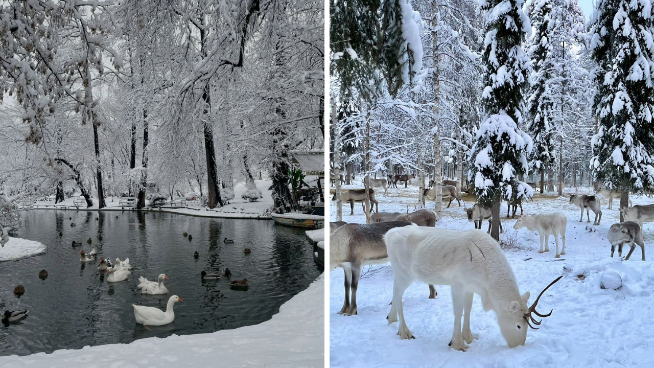 Kar Yağınca Hava Neden Isınır (2)
