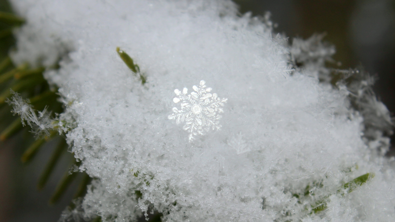 Kar Yağınca Hava Neden Isınır (3)