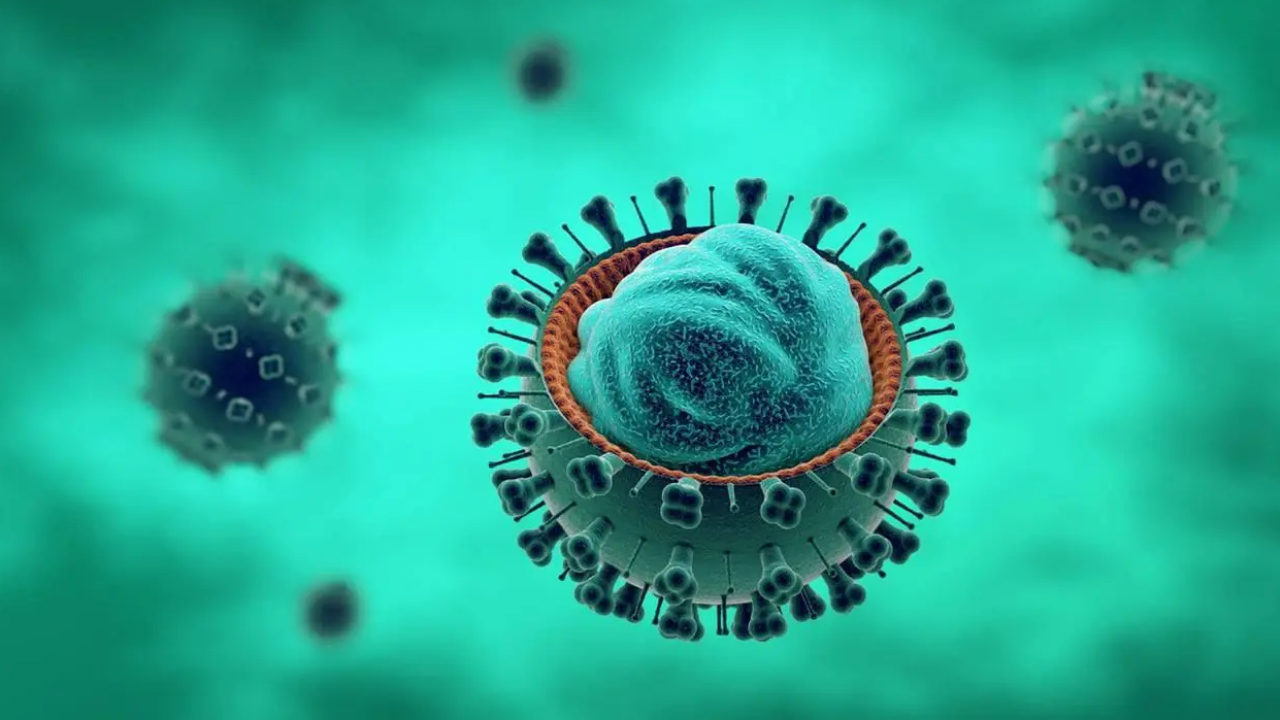 Kuzey Yarımküre’de ‘Mutasyonlu H3N2’ Paniği (2)