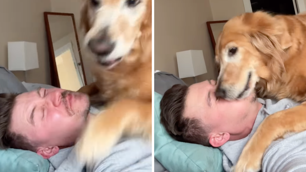 Sevimli Bulduğumuz Şeyleri Neden Isırmak Isteriz (1)