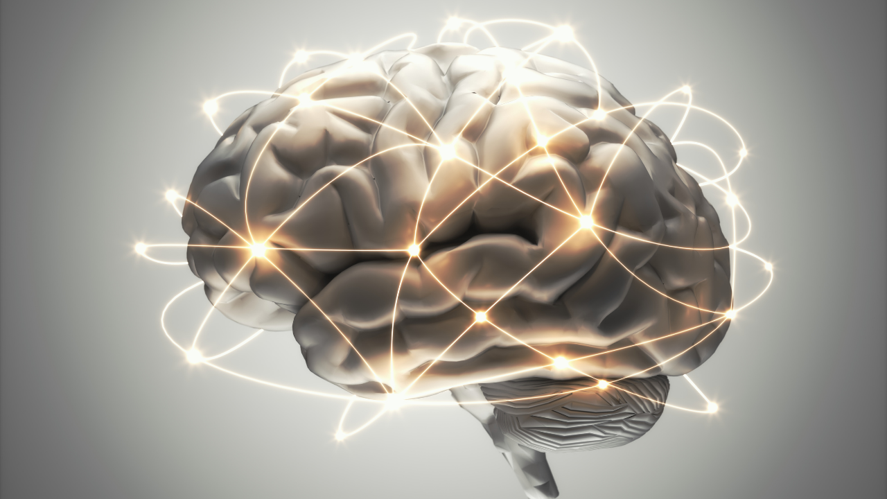 Türkiye’nin En Zeki Illeri Açıklandı Eskişehir Zirvede!