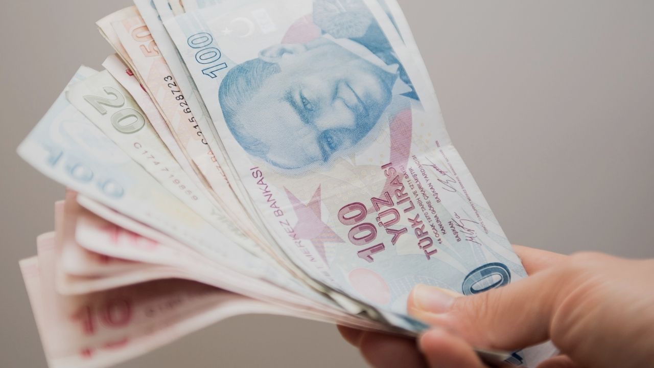 Vatandaşlık Maaşı (2)