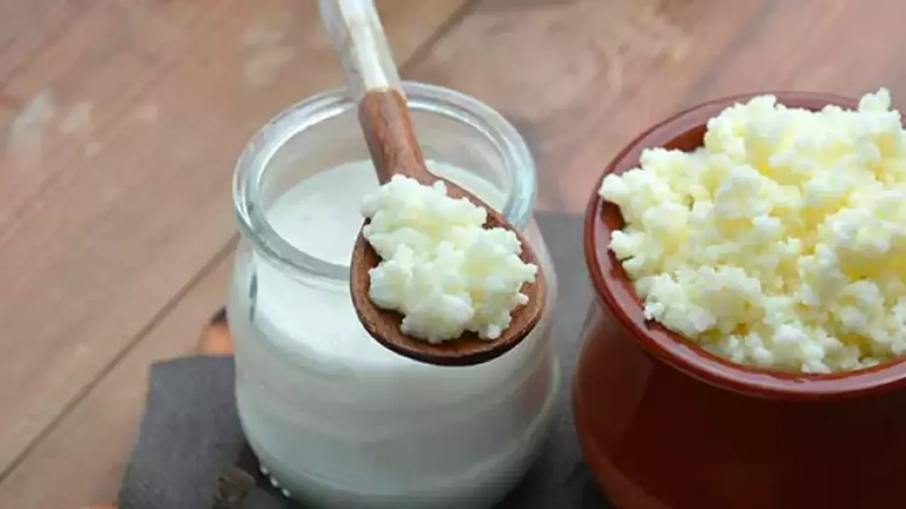 Yoğurt Kefir-1