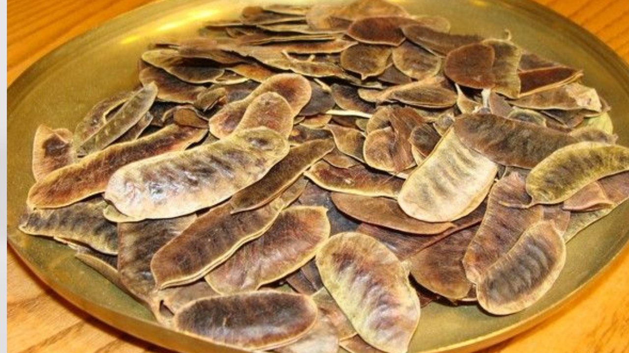 Açlık Otunun Zararları! Kilo Mu Verdiriyor, Bağırsak Tembelliği Mi Yapıyor (2)