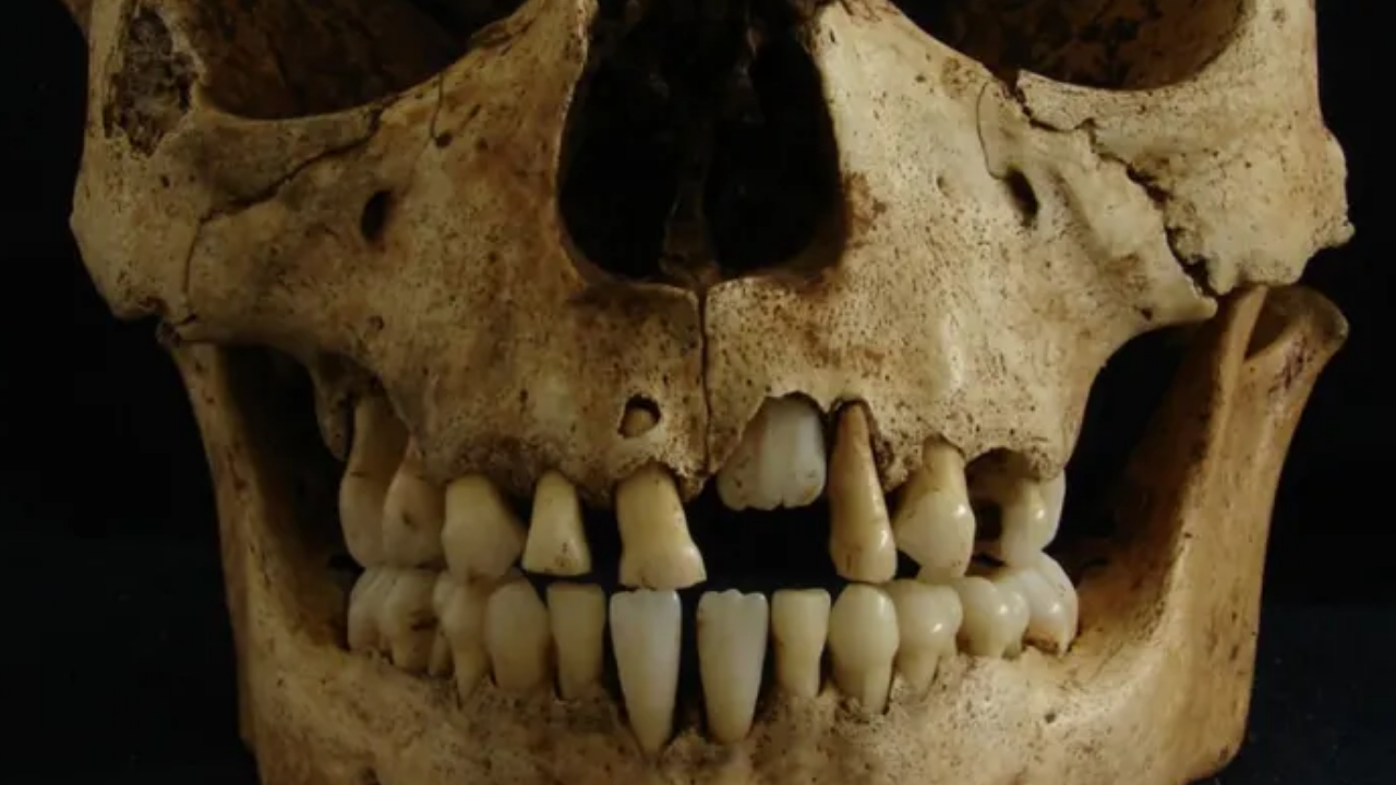 Antik Roma’da Insanlar Idrarla Diş Fırçalıyormuş (2)