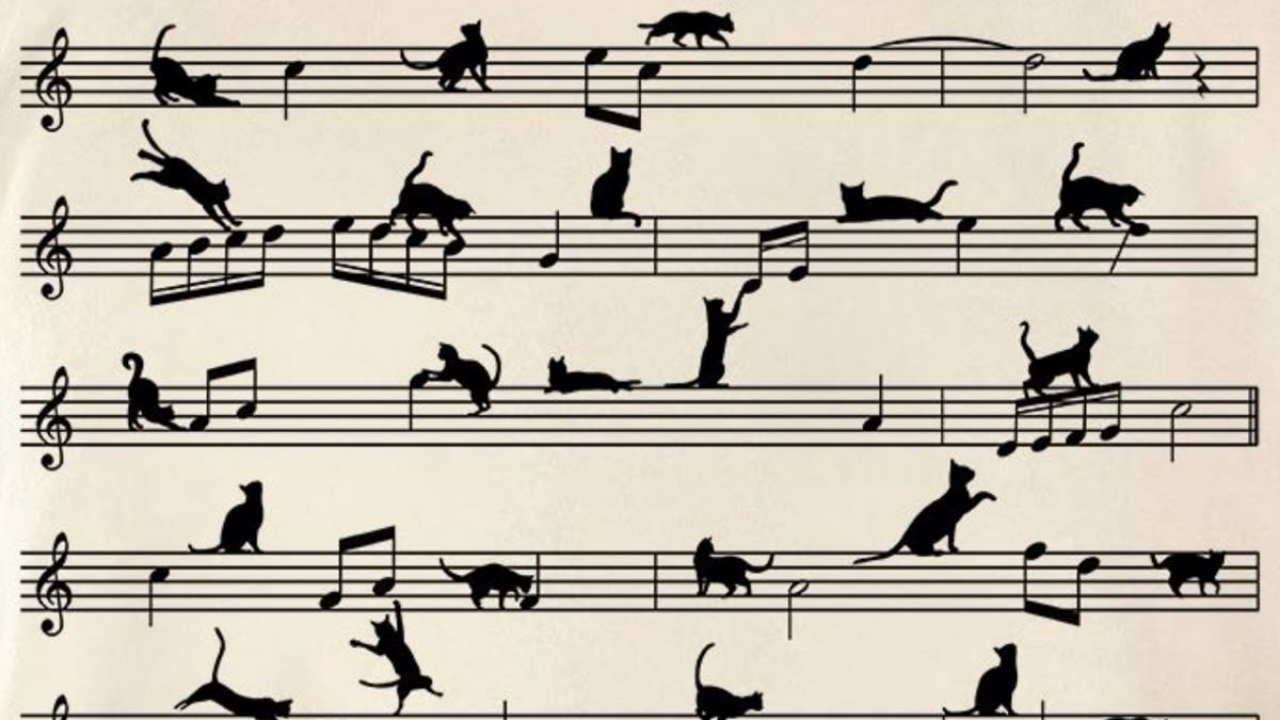 Bilimsel Araştırmalar Kanıtladı Klasik Müzik Köpekleri Ve Kedileri Sakinleştiriyor (5)