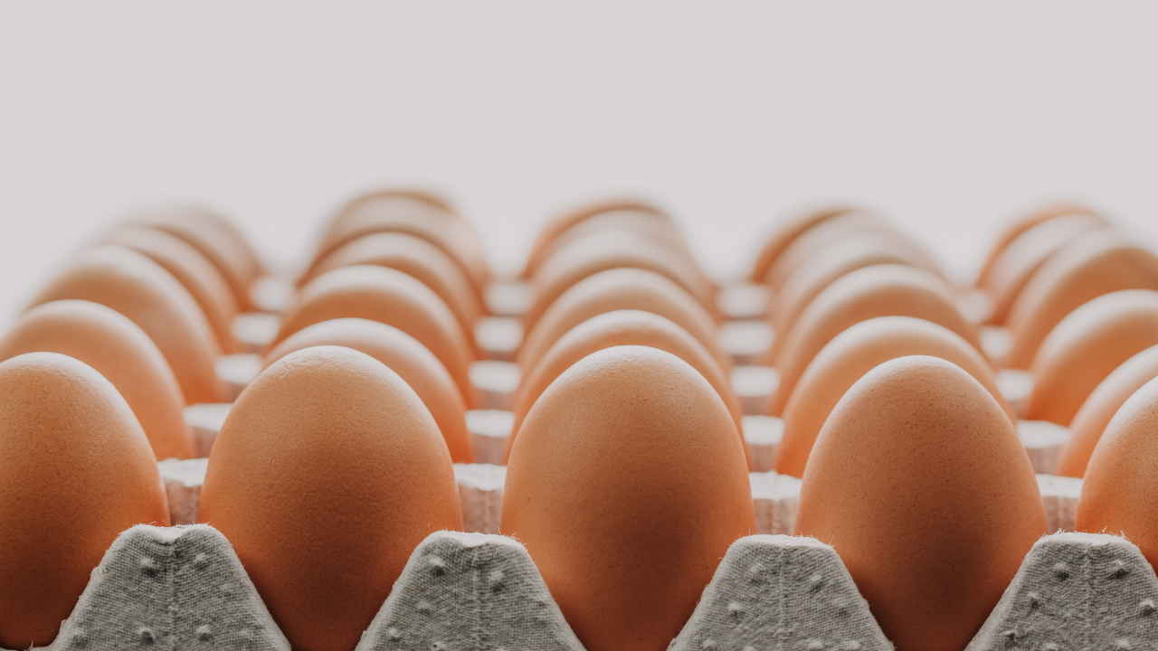 Bozuk Yumurta Nasıl Anlaşılır İşte 4 Kolay Test (1)