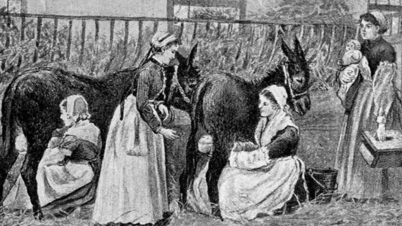 Eskiden Keçiler Süt Anne Olarak Kullanılıyormuş! (2)