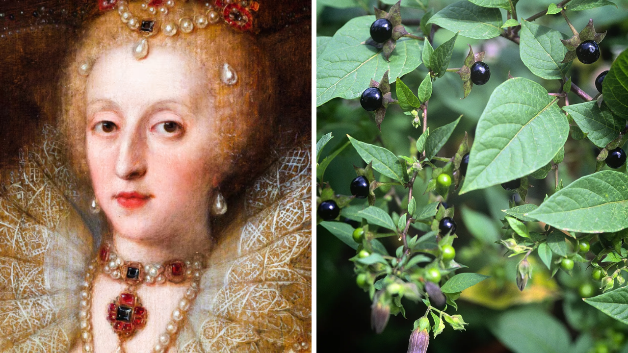 İngiliz Soylularının Mide Bulandıran Güzellik Hileleri (1)