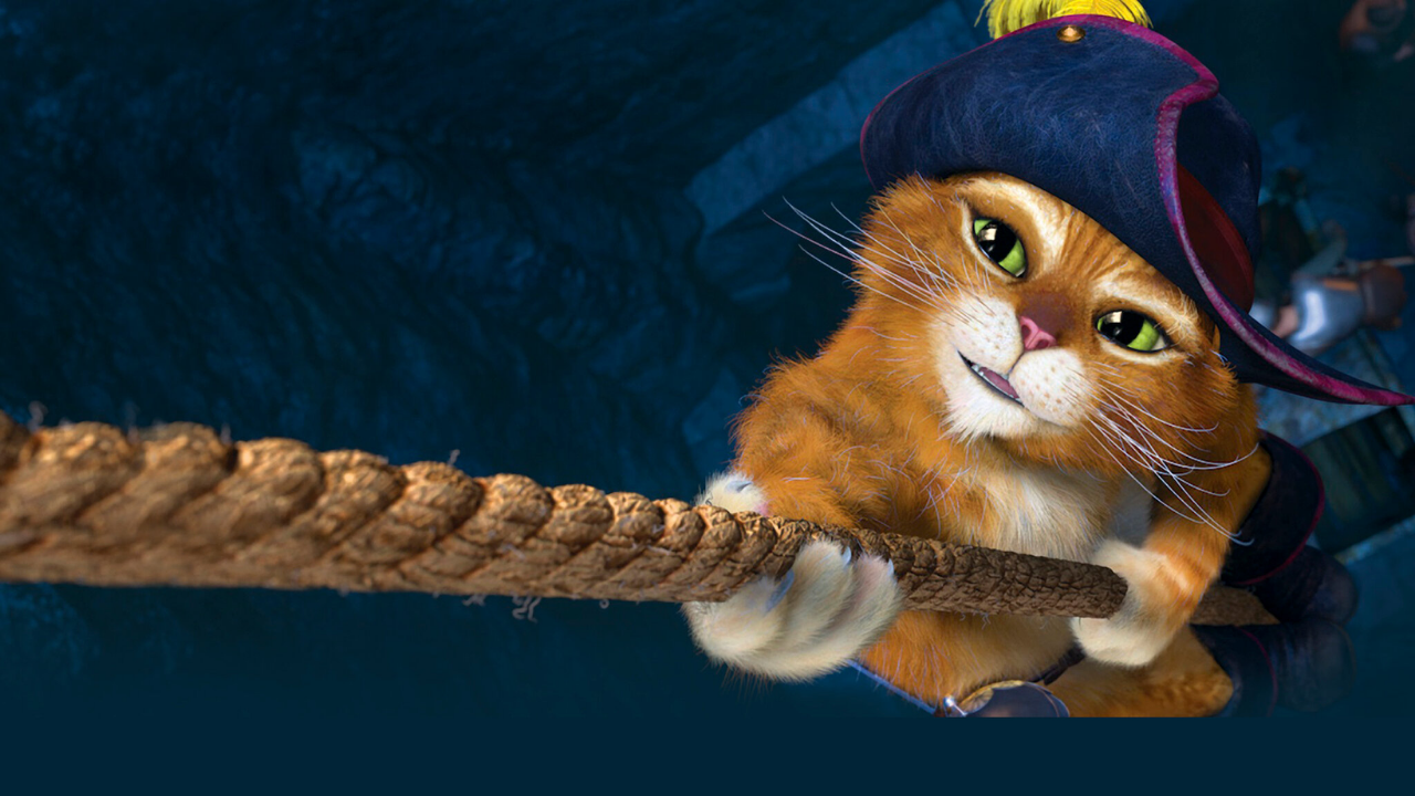 Kedi Sahiplerinin Mutlaka Izlemesi Gereken 5 Film (3)