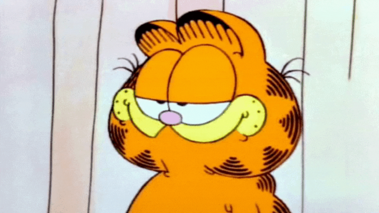 Kedilere “Seni Seviyorum” Demenin Bilimsel Yolu (2)