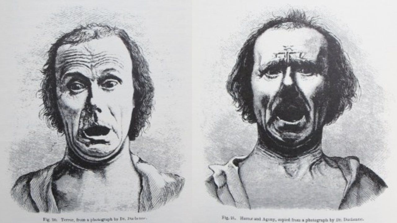 Korktuğumuzda Neden Çığlık Atıyoruz (4)