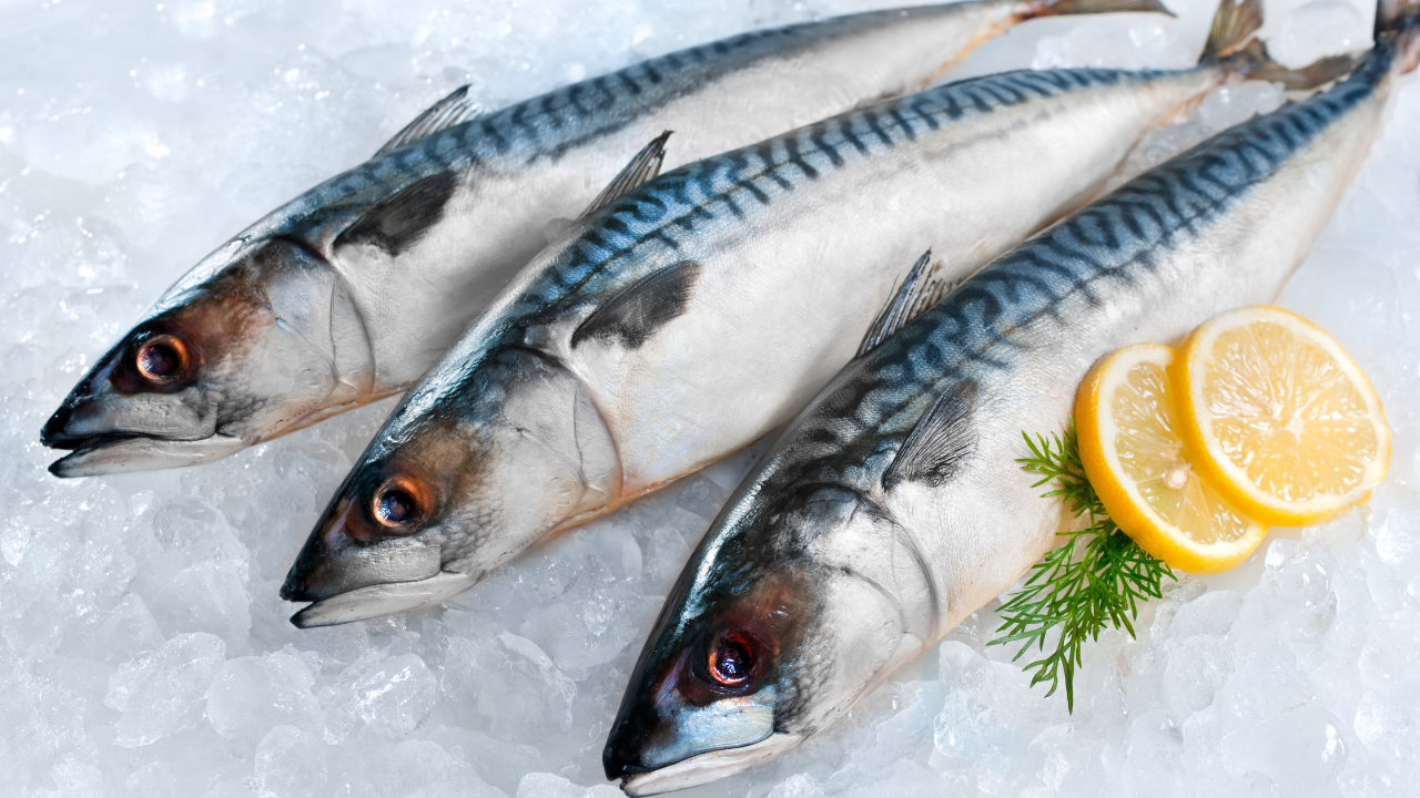 Omega 3'Ü Doğru Almanın Yolu Ne İşte En Güçlü Kaynaklar Ve Çarpıcı Gerçek (2)