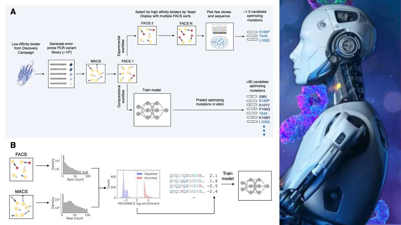 Antikor Tasarımı (1)
