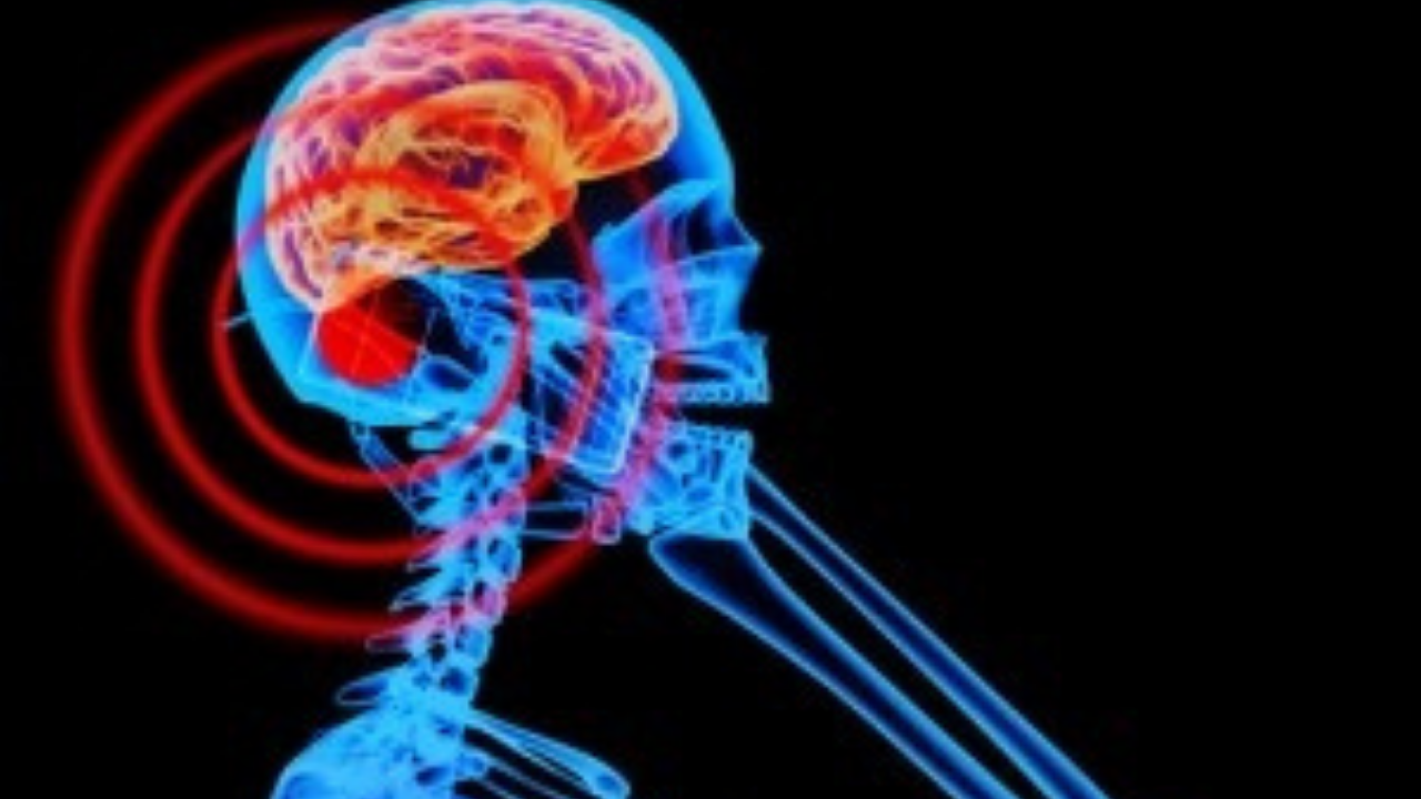 Cep Telefonu Radyosyonu (1)