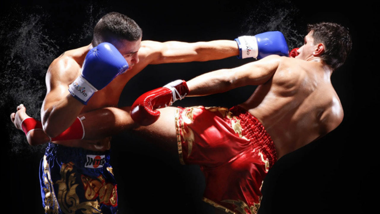 Dövüş Sporları (3)