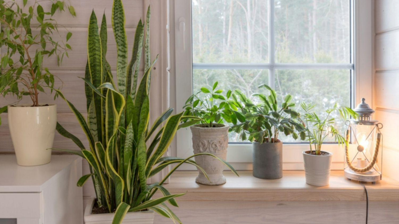 Evde Nefes Almanın Yolu (3)