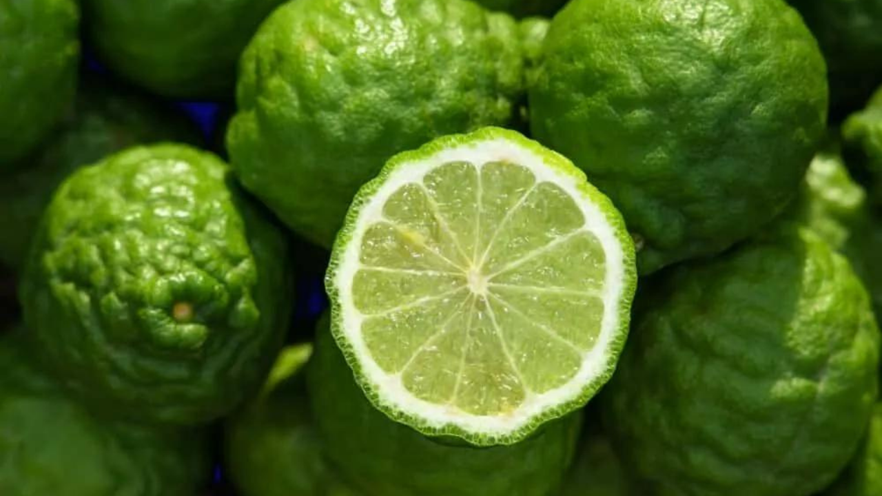 Evinizde Bulunması Gereken Kokular (1)