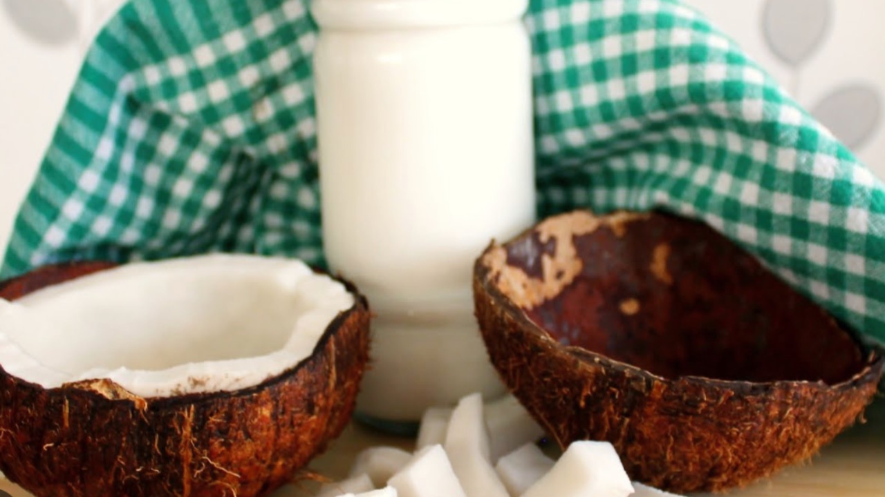 Hindistan Cevizi Sütü 3