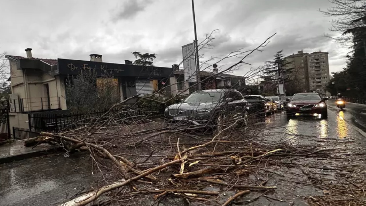 Istanbul Fırtına 1
