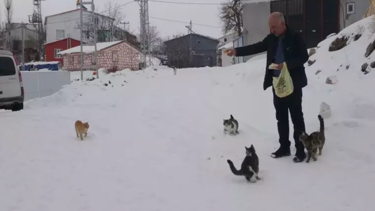 Köyde Tek Başına 1