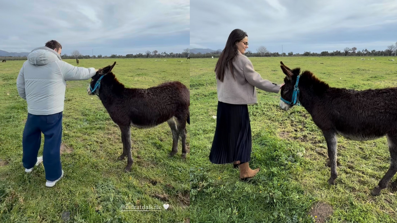 Murat Dalkılıç (4)