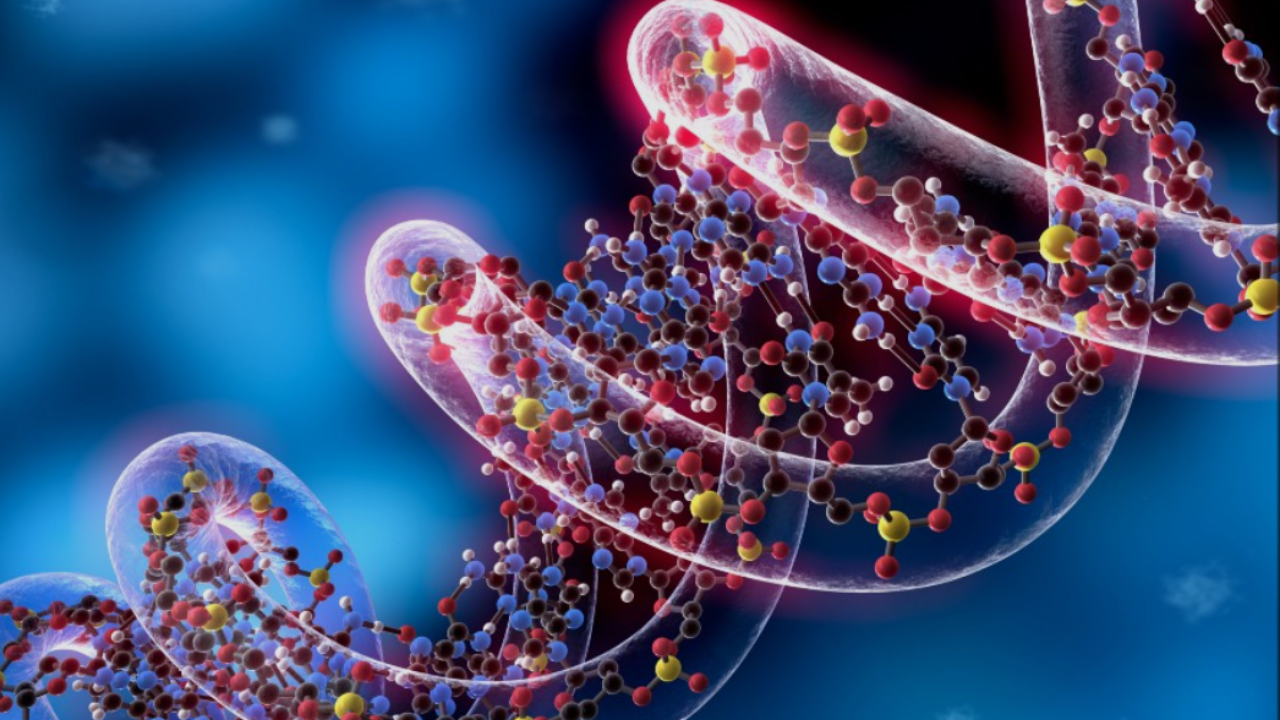 Nadir Hastalıklar (3)