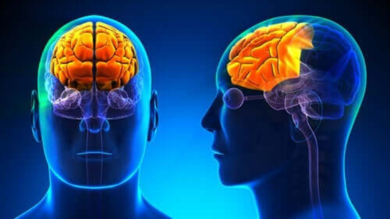 Beynin Anlık Öğrenme (2)