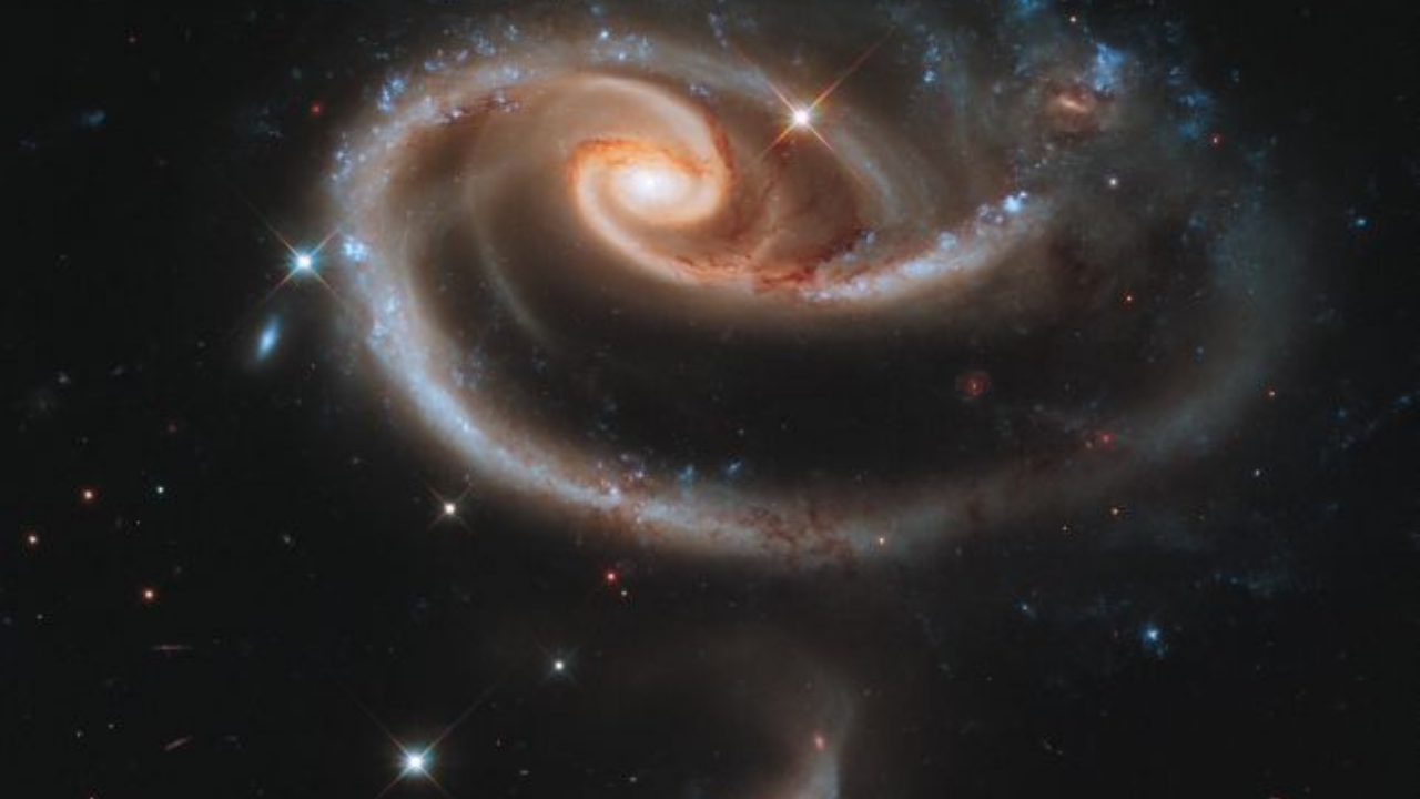 Sevgililer Günü’nde Yıldızlar (3)