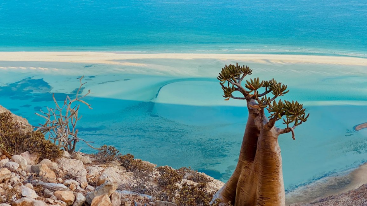 Socotra (4)