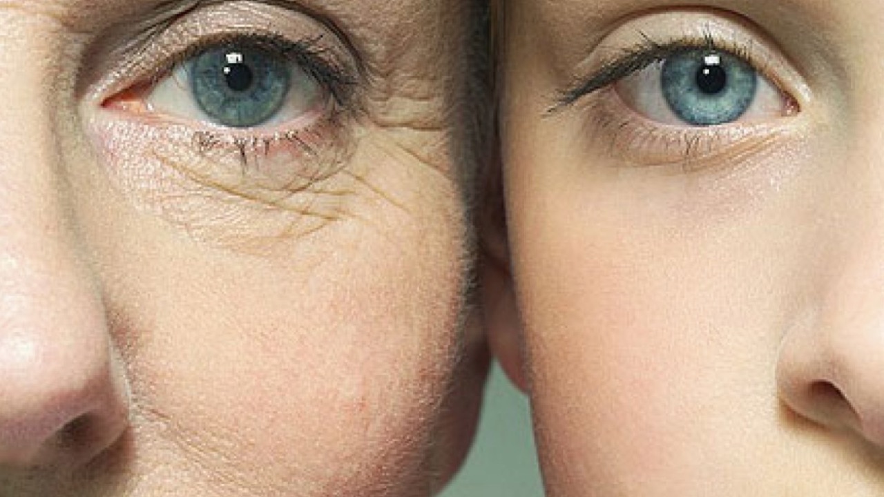 Yaşlanma Karşıtı 3